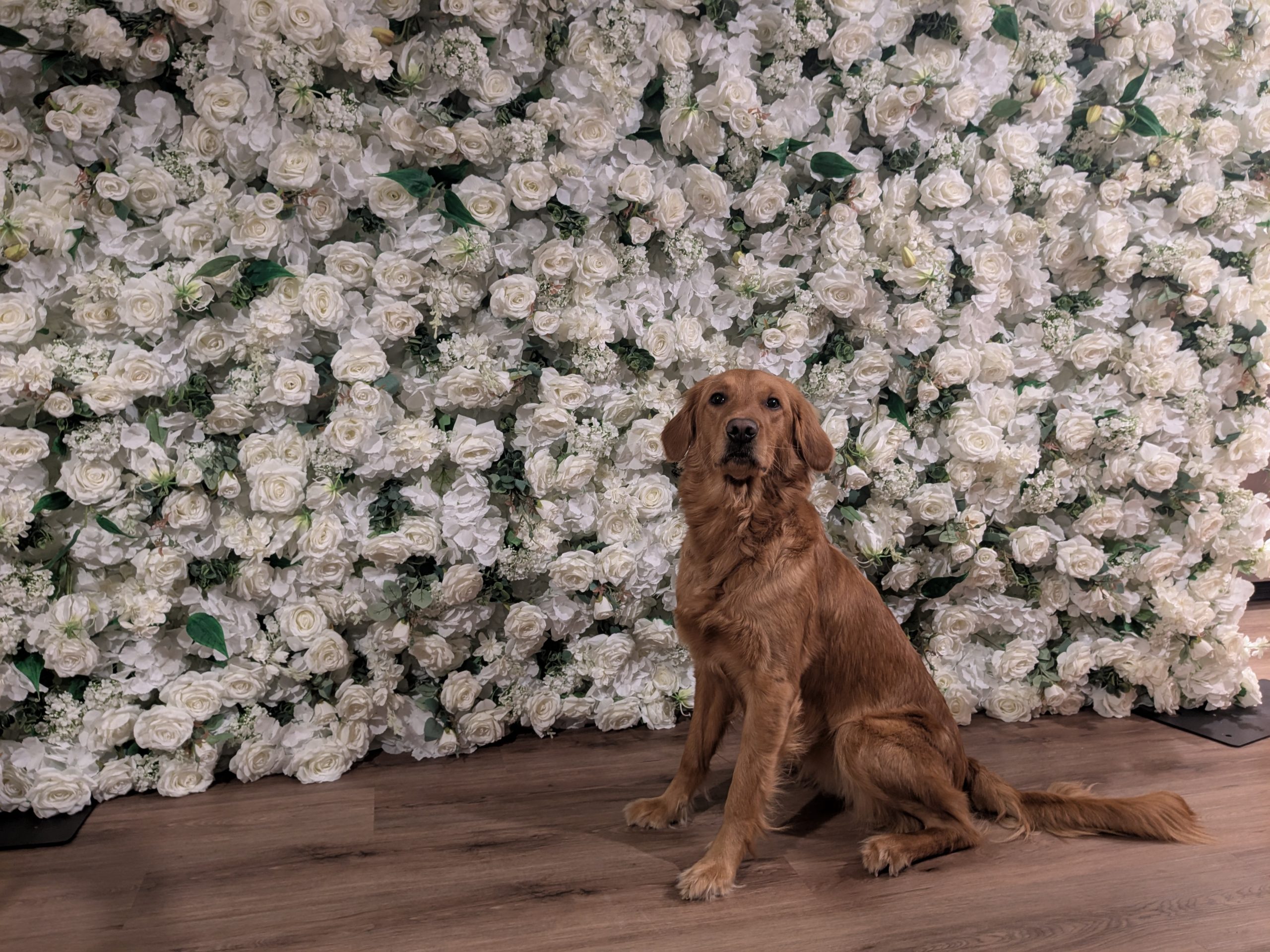 waffle flower wall